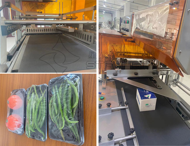 �ǻ��Ԅӻ������տsĤ���b�O��չʾ